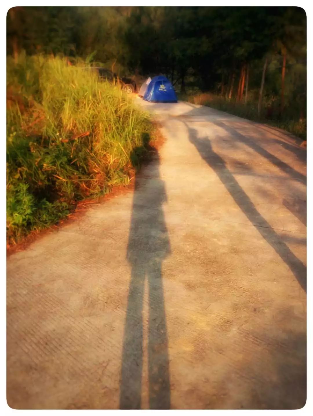 手机摄影作品也可以美不胜收,秋天手机摄影作品欣赏