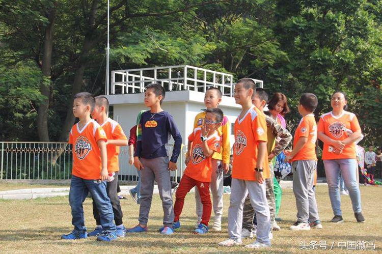 儿童足球队雄鹰,小小足球运动员早教课