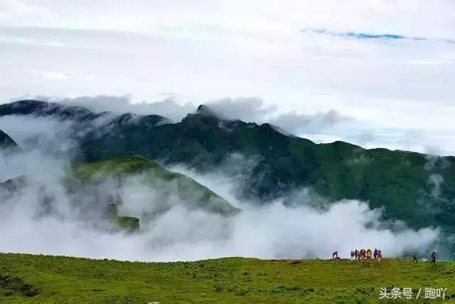 为何不要随便去雅安？