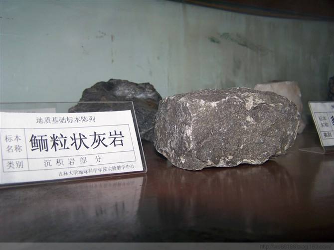 岩石由哪些矿物组成,岩石是由什么构成的