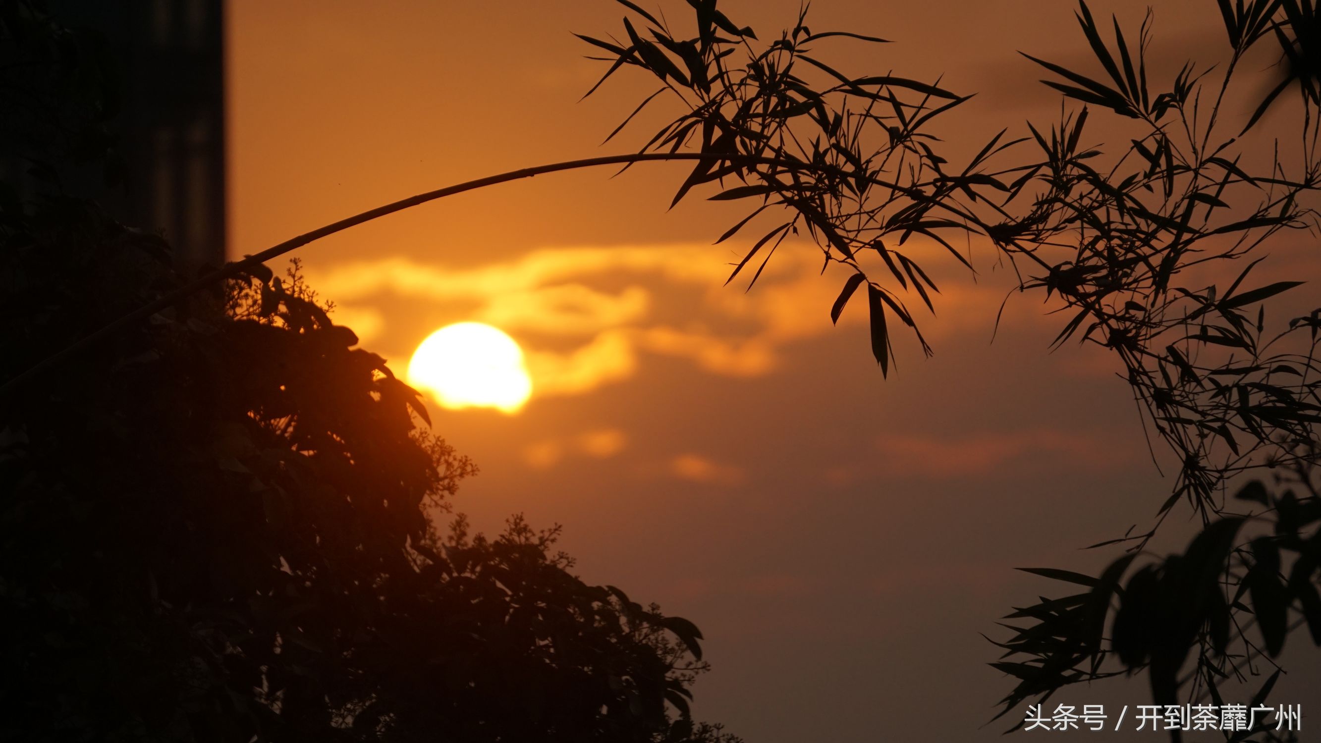 官洲岛：微凉初秋夕阳无限好天色已黄昏