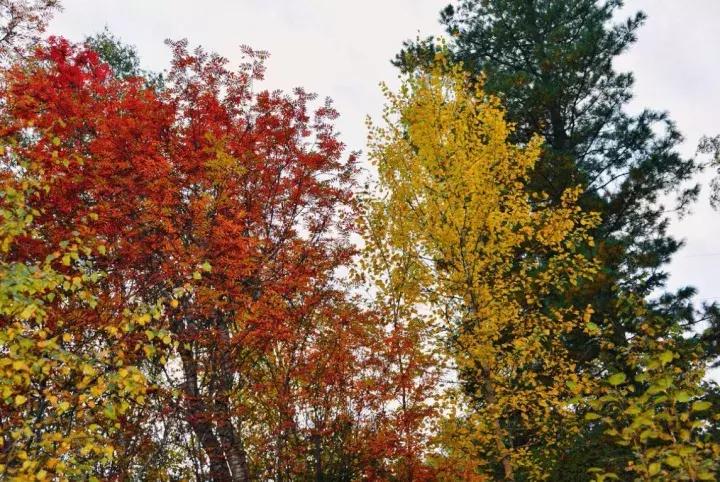 坐火车穿越俄罗斯西伯利亚,欧洲火车途经小镇