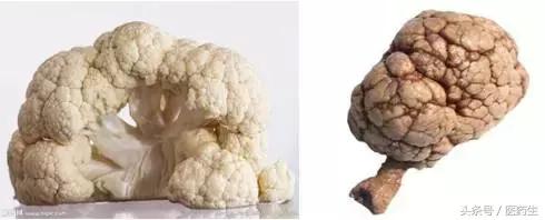 舌尖上的中医药论文,舌尖上的医疗