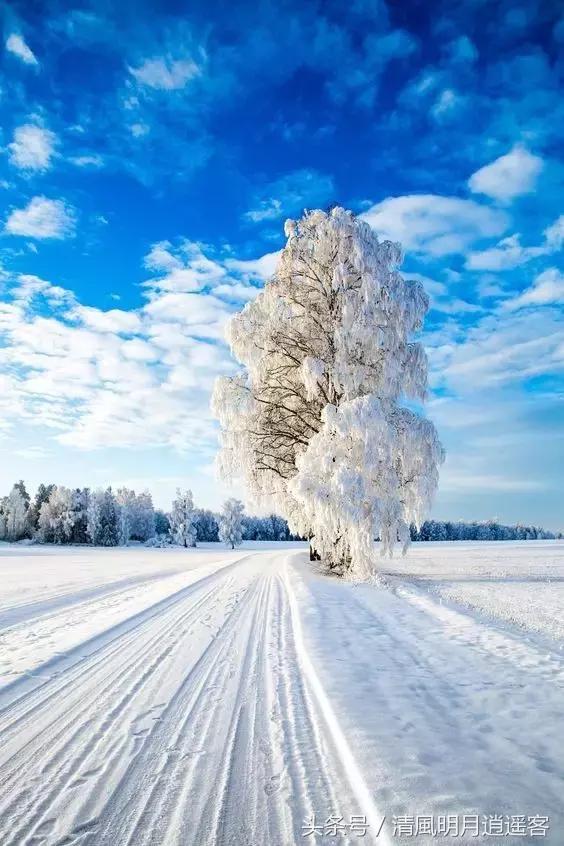 独钓寒江雪，风雪夜归人，200句经典冬天诗句