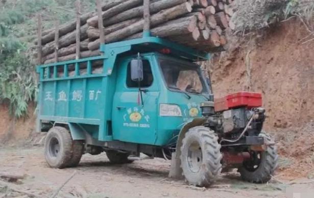 国产车动力最强的三款车,国产车最抗造最耐用的几款车