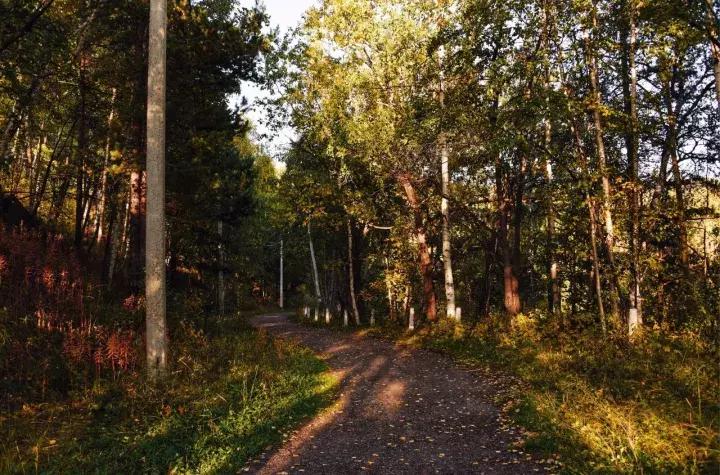 坐火车穿越俄罗斯西伯利亚,欧洲火车途经小镇