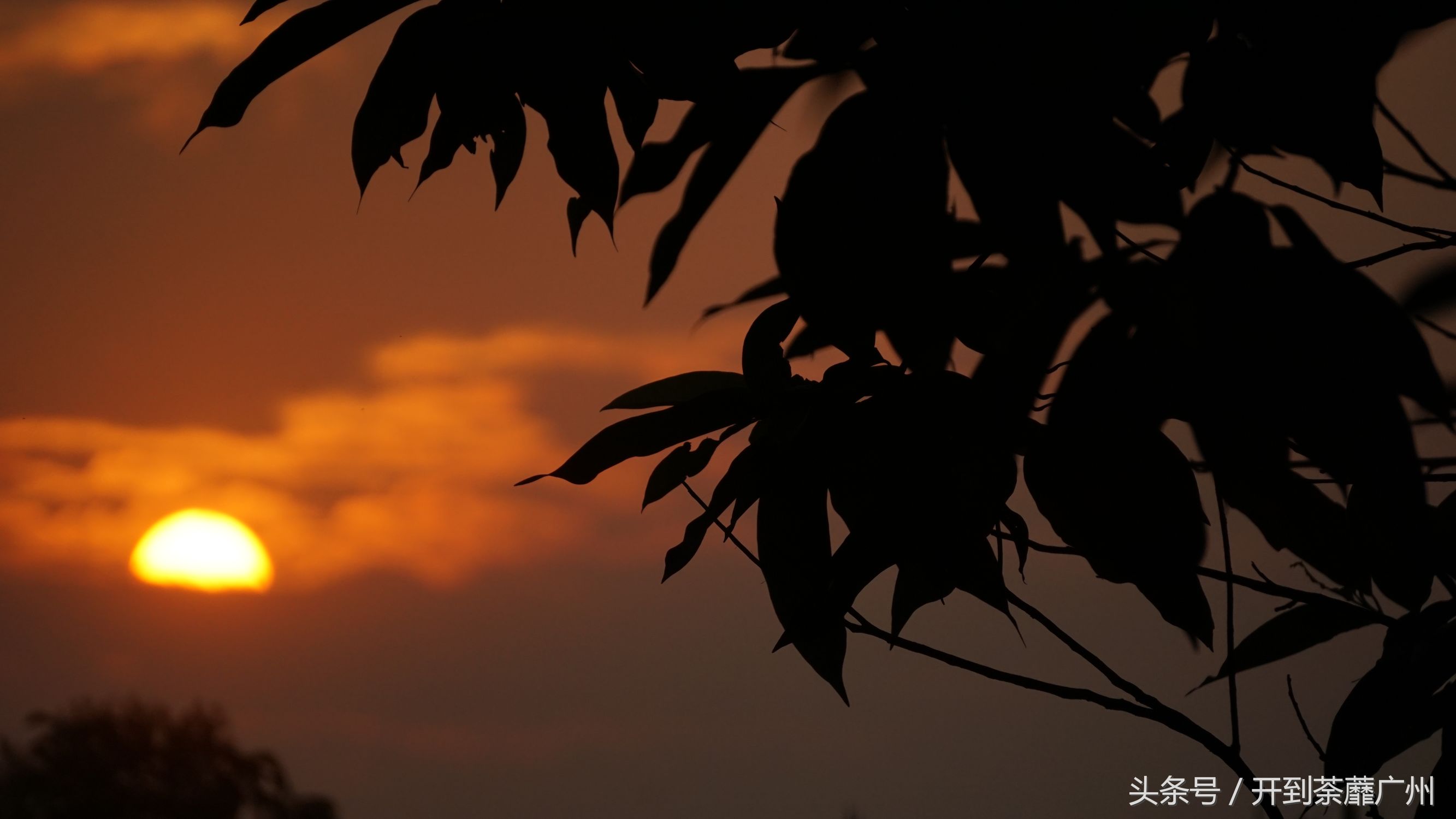 官洲岛：微凉初秋夕阳无限好天色已黄昏