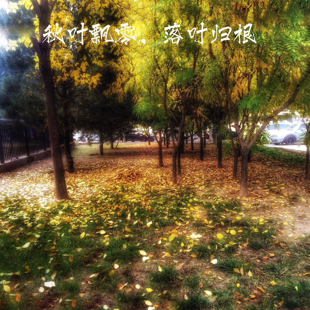 手机摄影作品也可以美不胜收,秋天手机摄影作品欣赏