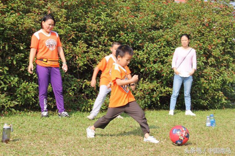 雄鹰少儿足球,雄鹰足球小将