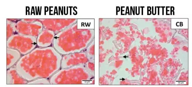 食物热量表减肥必备表,食物热量表减肥必备