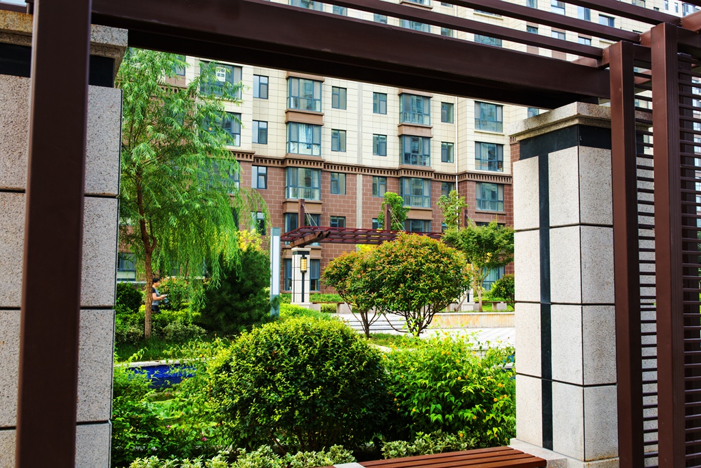 寮犺穬闈欑墿鎽勫奖,寮犺穬鐓х墖