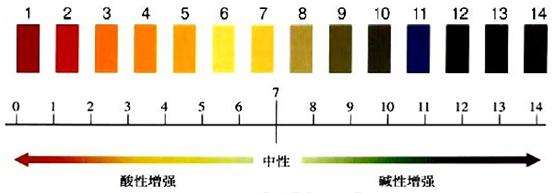 钟丽缇为生儿子狂喝碱水，这真的有用吗？