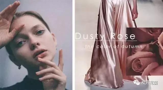 姨妈、吃土统统靠边,今年冬天是干枯玫瑰色的天下!