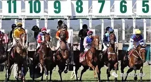 想试试赌马的运气？此攻略带你玩转墨尔本赛马节！