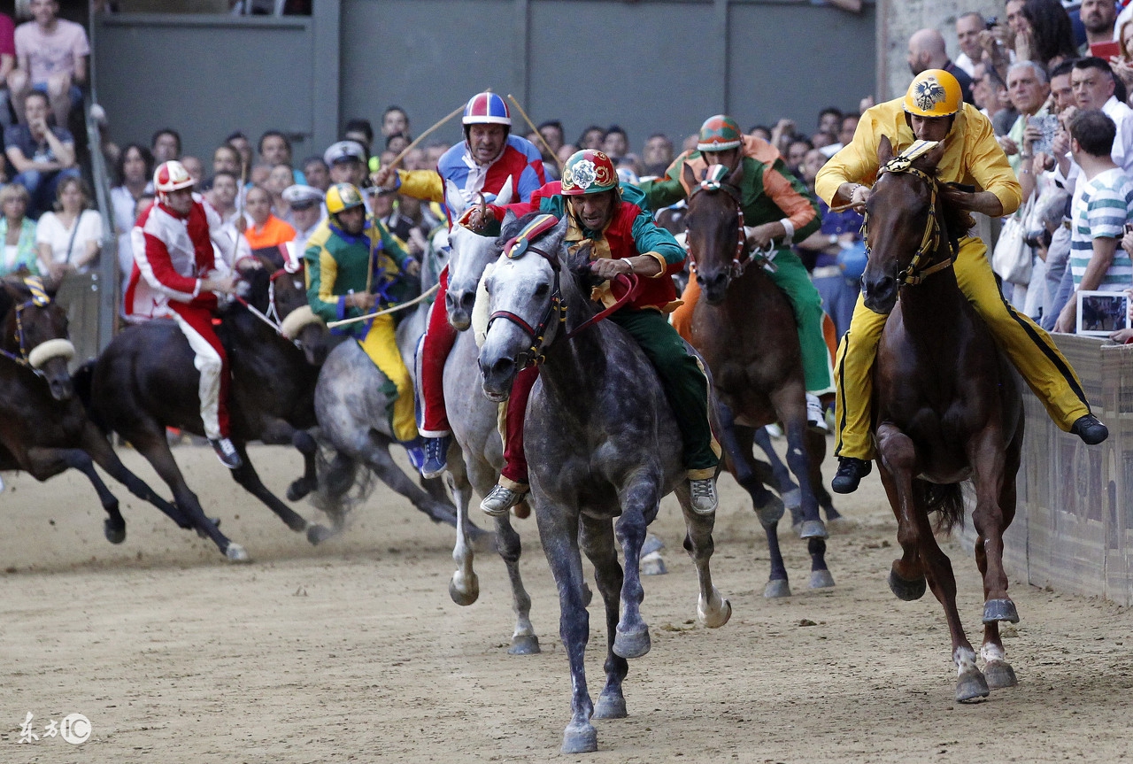 想试试赌马的运气？此攻略带你玩转墨尔本赛马节！