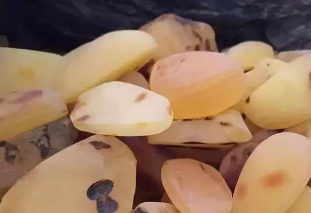 琥珀的真实事件,琥珀的事什么时候败露