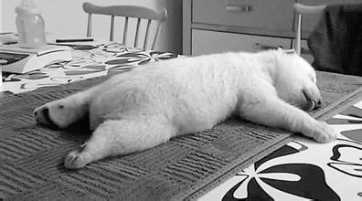 适合早上起床的闹钟铃声歌曲推荐,什么音乐适合当闹钟铃声