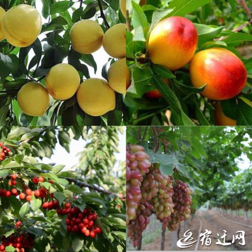 砥砺奋进的五年2020年,砥砺奋进的五年钦州