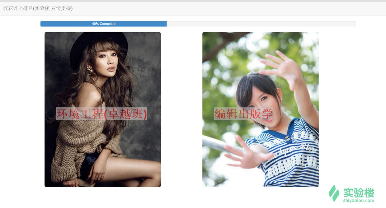 php个人项目运营,php投资项目