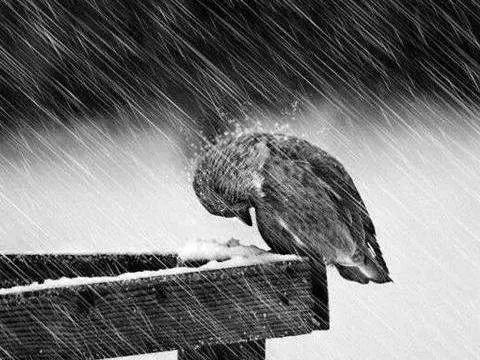 如何判断加盟品牌靠谱,加盟品牌最容易踩的坑