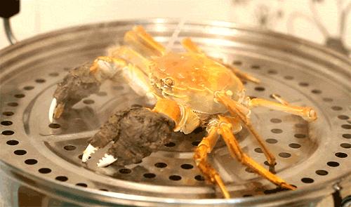 请备好姜醋｜你的九雌十雄好友：Hā！已上线~