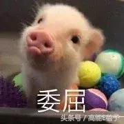 刘天佐是好的吗,刘天佐属于几线演员