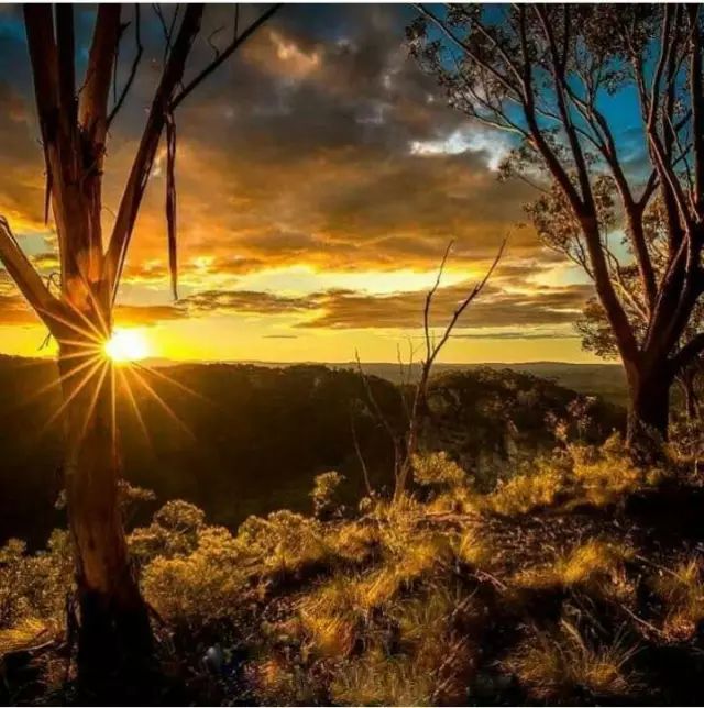 哪些手机可以拍出星芒效果,手机拍摄星芒的技巧是什么