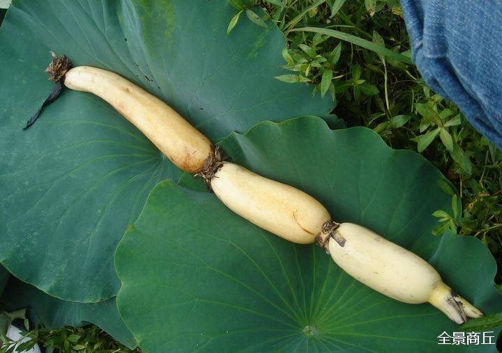 商丘农村大集特色美食,商丘美食视频大全集