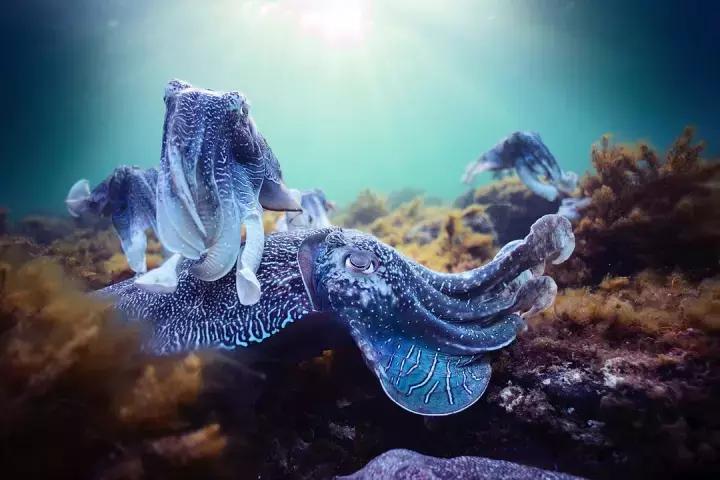 哈利波特又出新电影了吗 (哈利波特最近有没新电影)