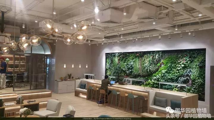 植物大战僵尸之父是中国人,植物墙创始人