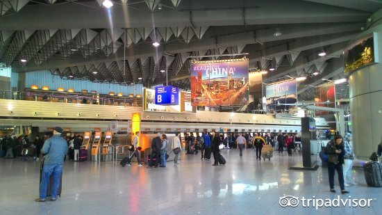 免税店双十一有优惠活动吗,红包折扣