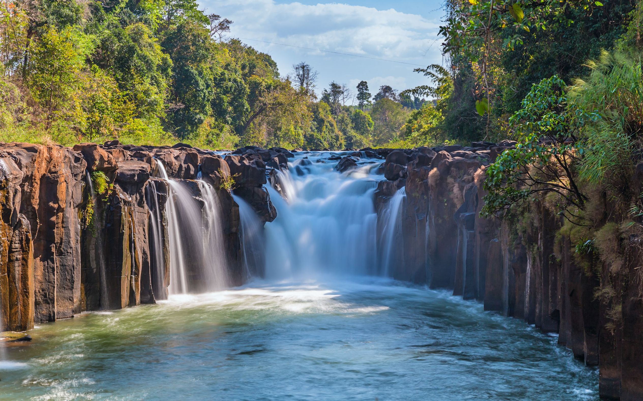 属鸡的六月有大喜,属鸡之人本月运势