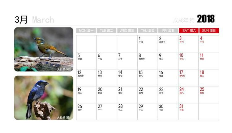 2018年鸟趣日历,太精美了,人手一份,值得收藏!