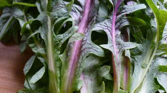 农村做什么生意赚钱创业项目,创业致富项目农村种什么赚钱