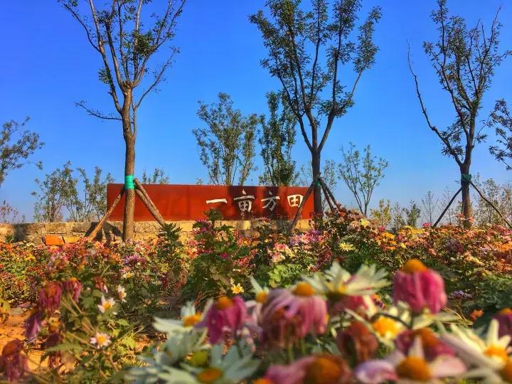 临淄齐国故都旅游文章,来自浓浓的家乡情结