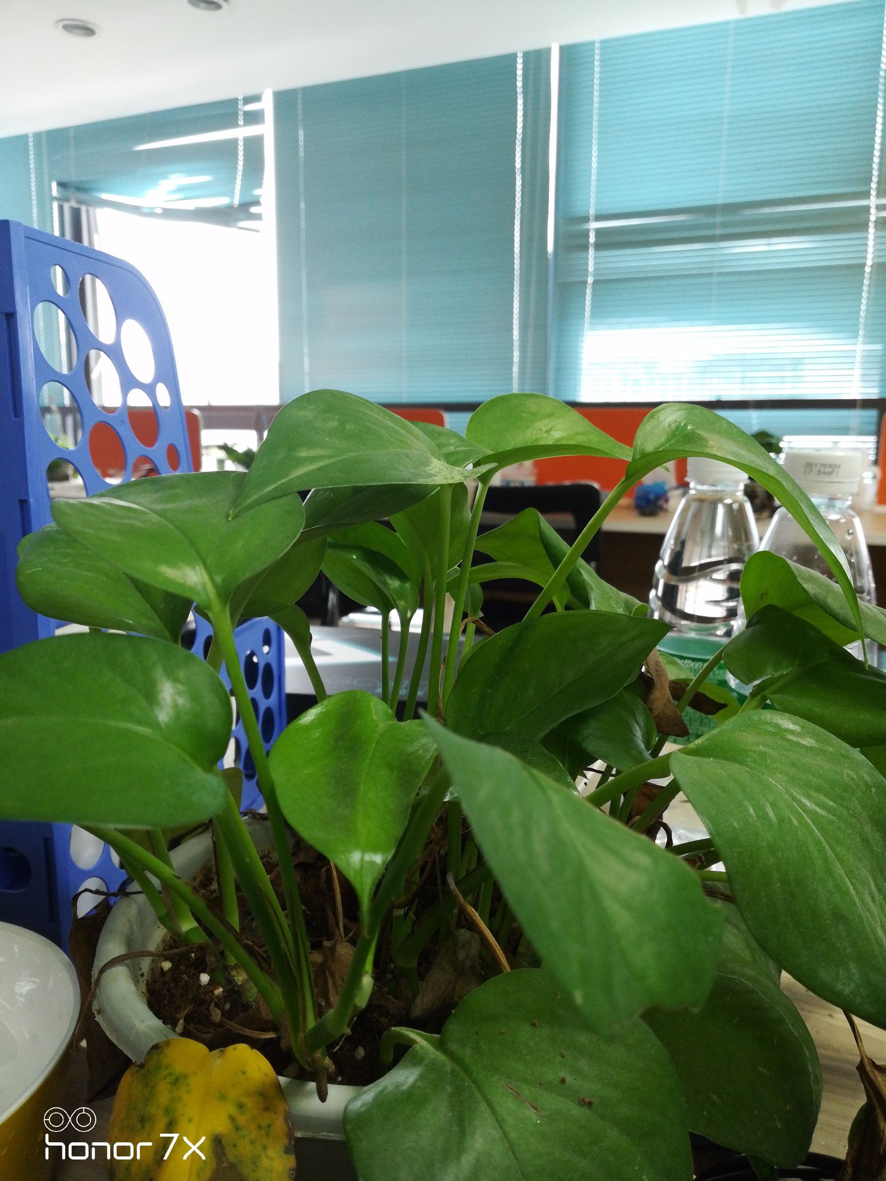 华为双11性价比手机,双11华为和荣耀