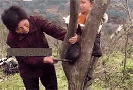 笑死人不偿命的二十二张图,笑死不偿命的女孩图片