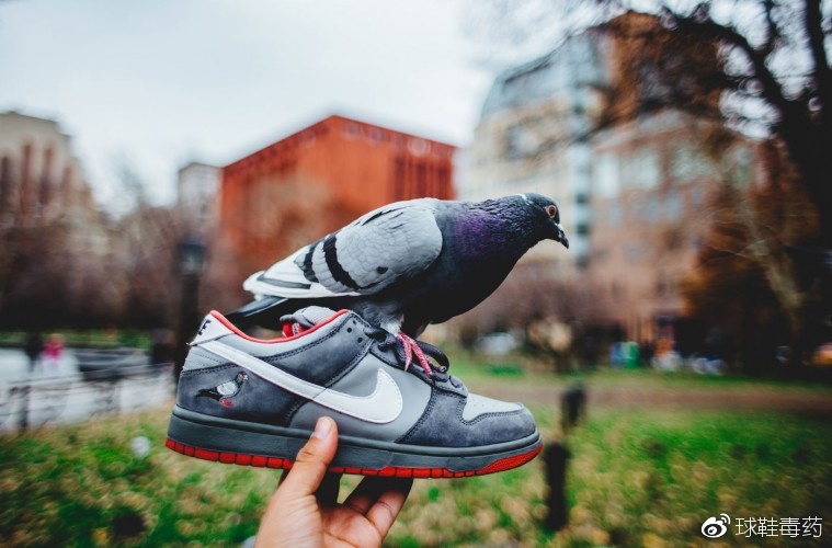 dunksb黑鸽子有刷色感吗,dunksb真假对比黑鸽子