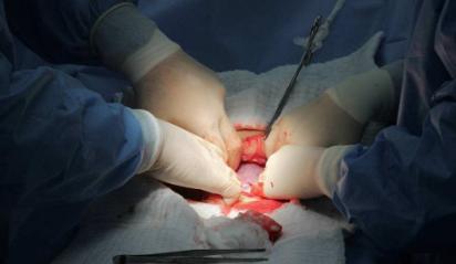 大头体验分娩,大头宝宝生产记录