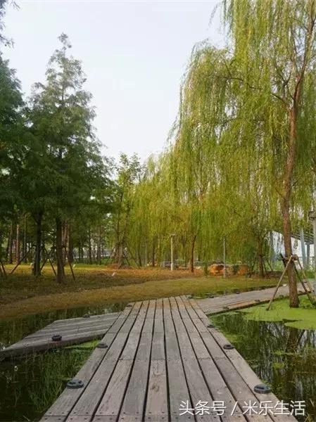 皖投·天下名筑|“亲爱的客栈”太远,而慢生活就在身边