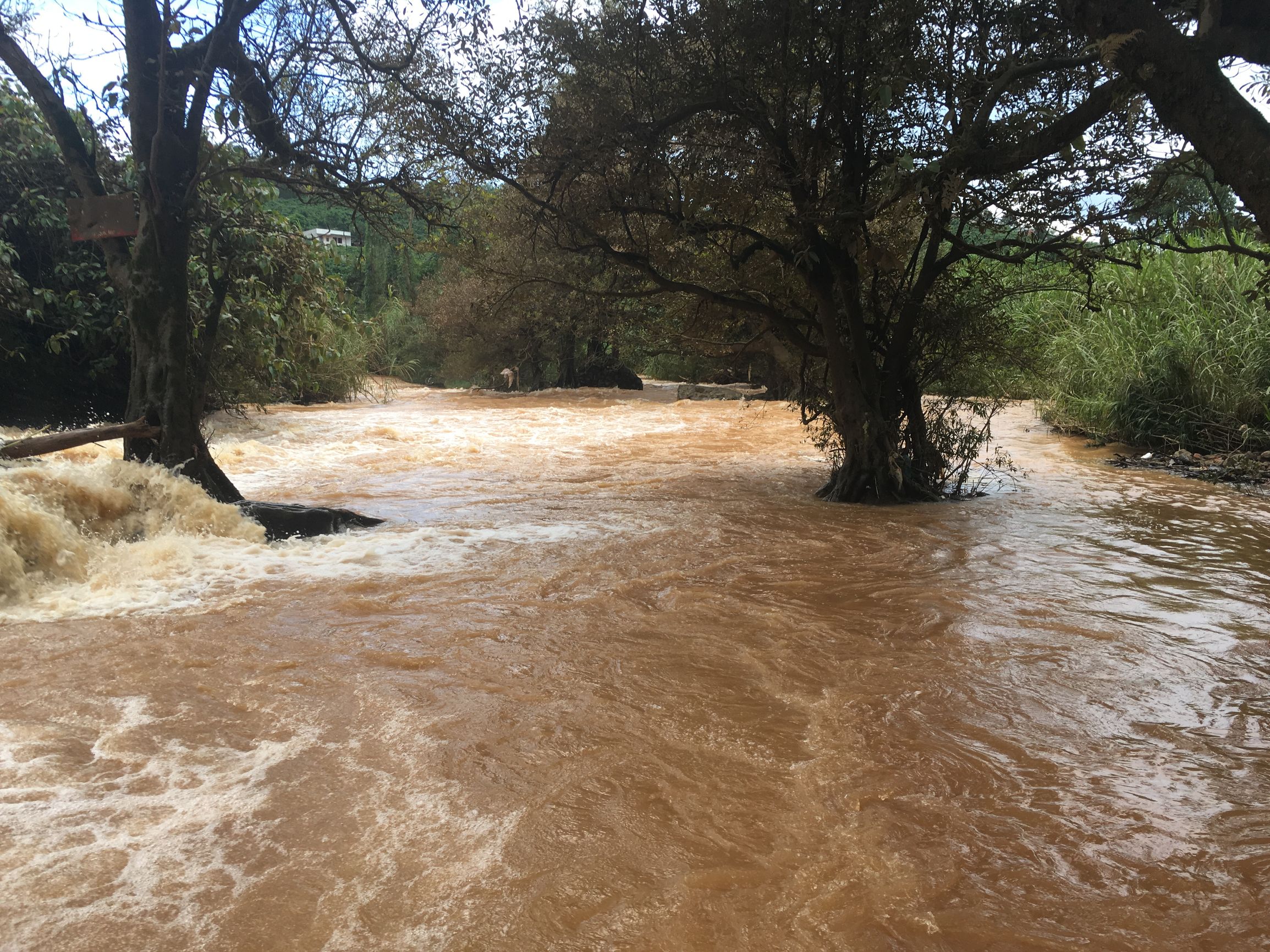 分享越南旅游攻略,越南大叻网红景点