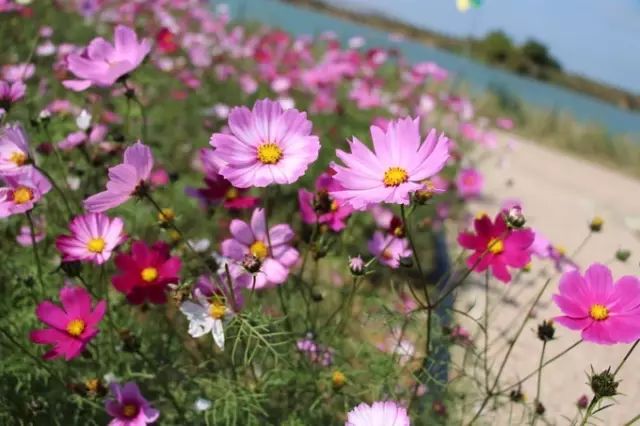 双十一光棍节活动主题,双十一光棍节图集