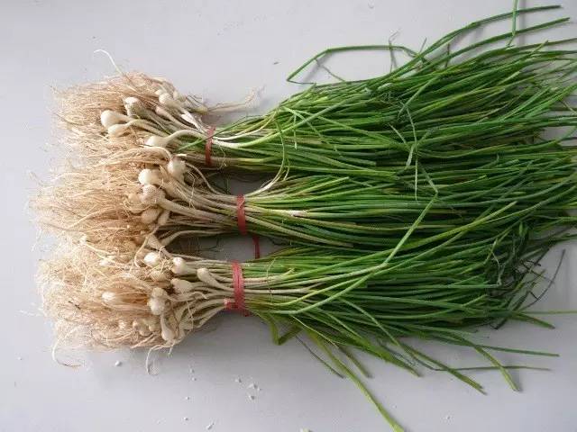 开春挖野菜教你轻松识别18种野菜,您知道春季最养肝护肝的野菜吗