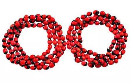 广西野生有毒水果,广西有毒的东西