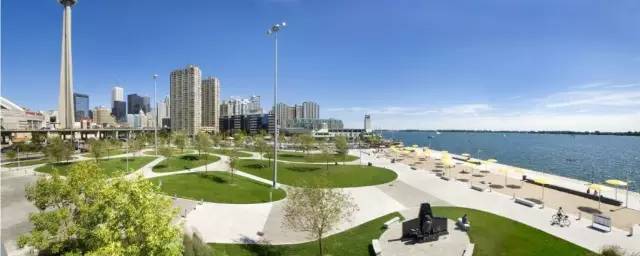 观赏性最好的草坪,大型的景观草坪