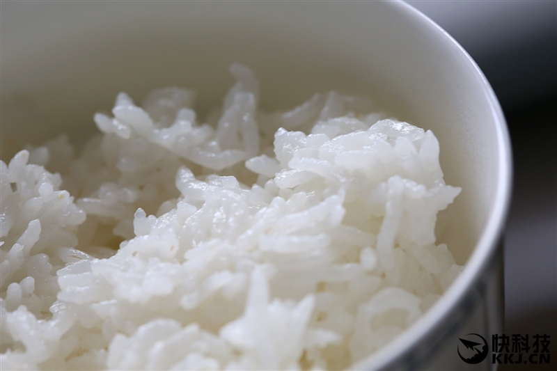 小米电饭煲价格那么多怎么选,小米电饭煲199评测