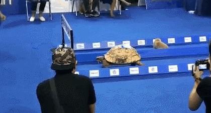 粑粑，尝尝我的蛋碎脚感觉如何？