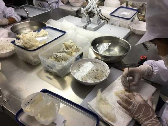 泰国燕窝好吃还是越南燕窝好吃,泰国燕窝好还是马来西亚的好