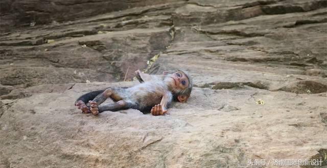 这34个间谍，每天只干一件事：*窥偷**！还拍成电影全球上映？