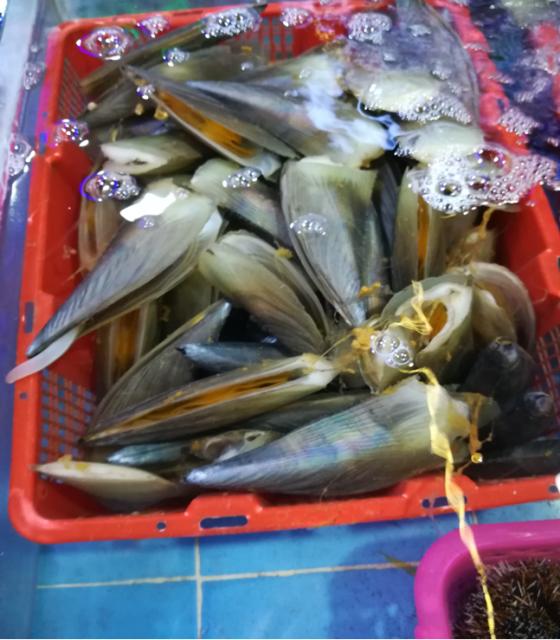 三亚送的14个免费海上游玩项目,三亚必买10件礼物